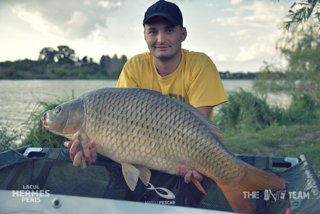 Hermes Peris - tapatalk1504646465663.jpeg